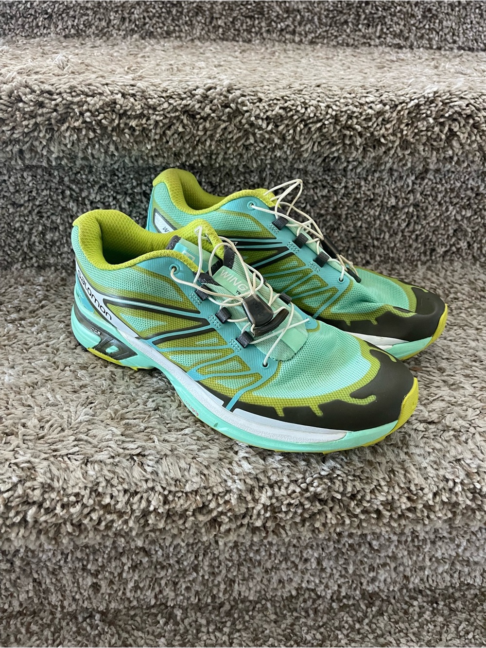 Salomon shoes
